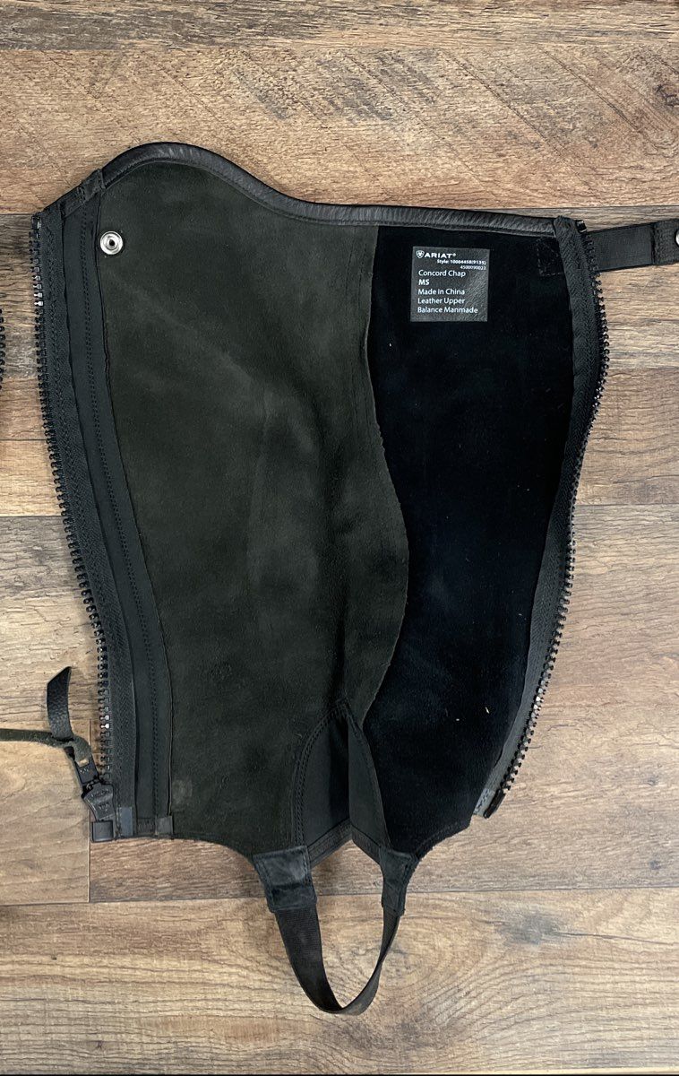 Ariat Concord Chap Black Leather Equestrian Half Chaps Size MS