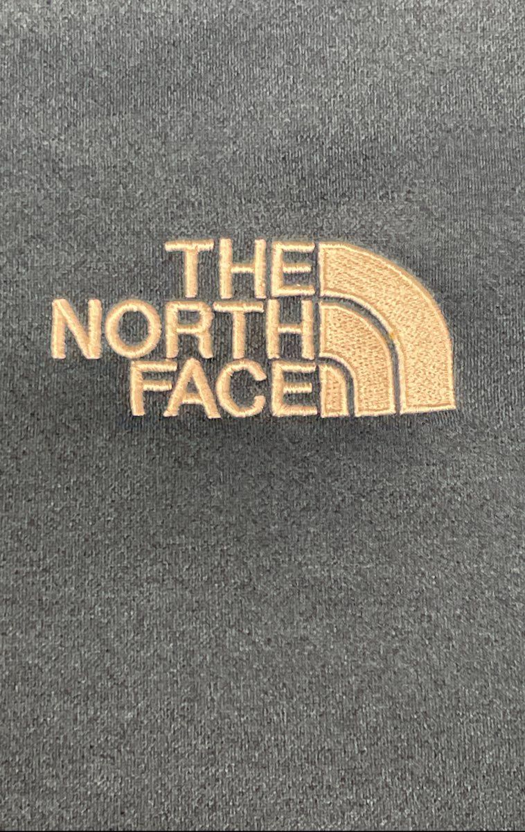 The North Face Men's Denali 2 Hoodie Blue Lavender Colorblock Fleece Sz XL