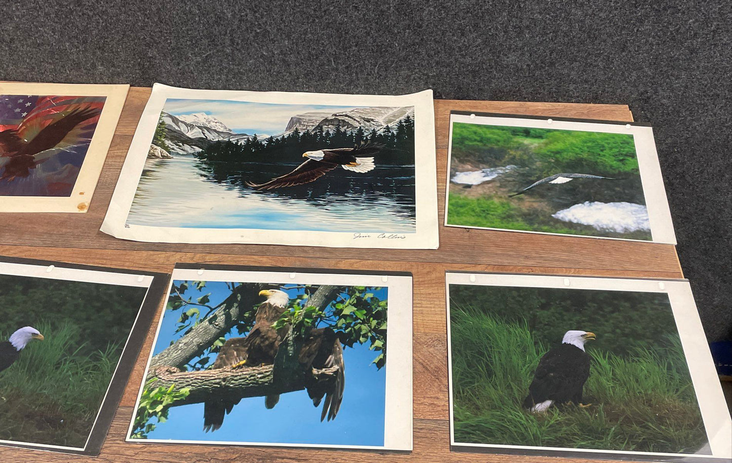 Lot of Vintage Eagle Art Prints & Photos Wildlife Signed Gene Chatlos 12x16