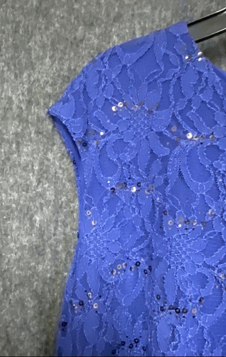 Lauren Ralph Lauren Womens Royal Blue Floral Lace Sequin Ruched Sheath Dress 20W