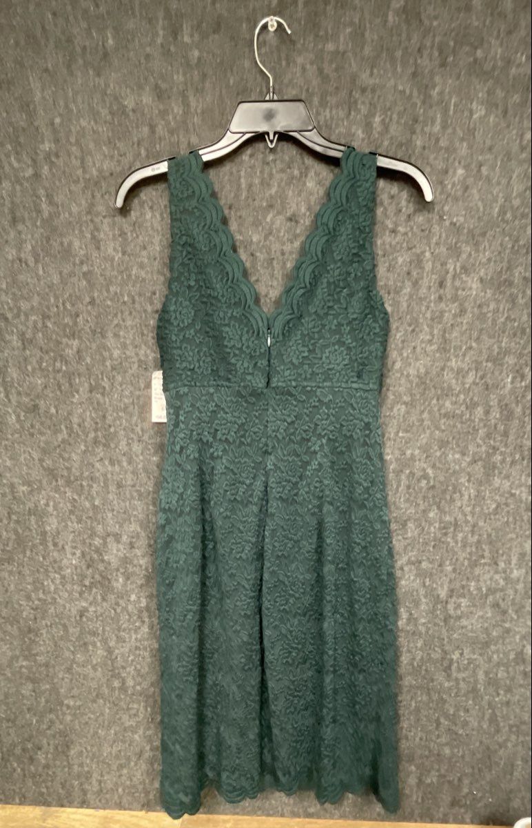 Dress Barn Women's Green Floral Lace Sleeveless V-Neck Scalloped Dress Sz 6 NWT