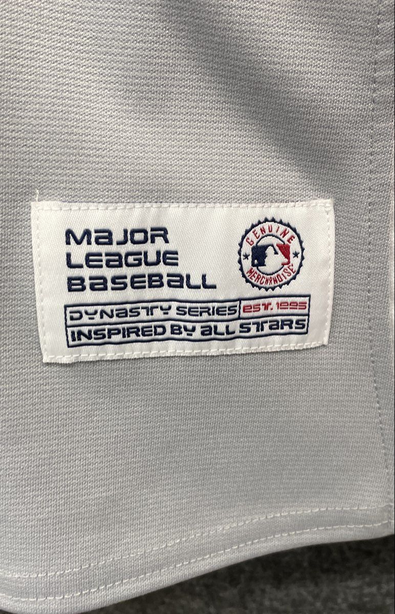 Dynasty Men's Washington Nationals MLB Baseball Jersey Grey Red Sz 2XL
