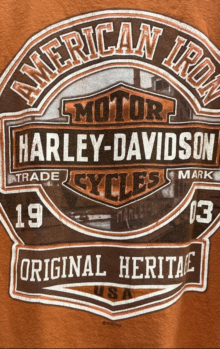 Harley-Davidson Black Cat Rocky Mount NC American Iron Graphic T-Shirt Sz M