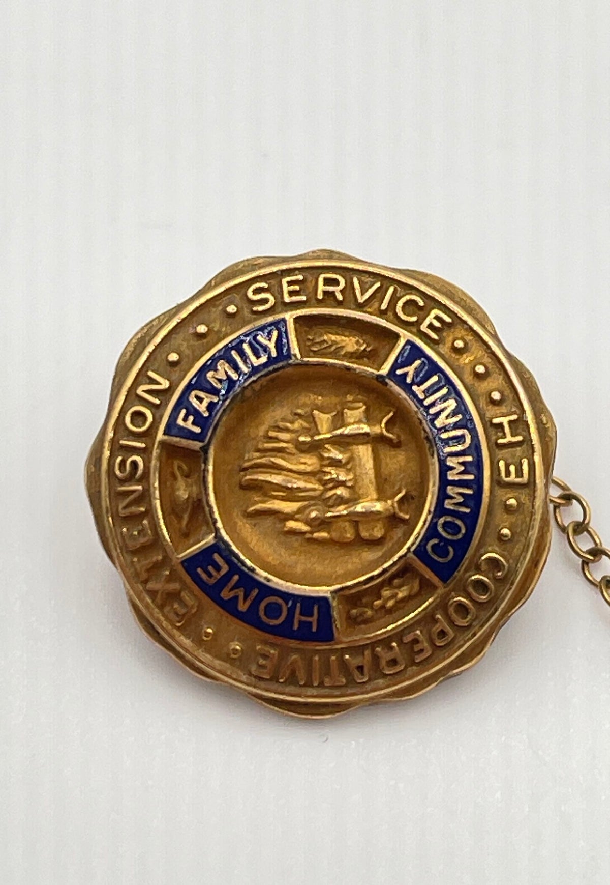 Cooperative Extension Service 1/10 10k GF Blue Enamel Chain Lapel Pin 2.2g