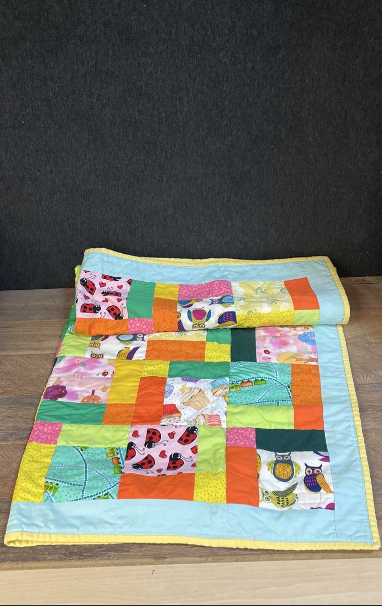Richmond Modern Quilters Guild Handmade Baby Quilt Patchwork Owl Ladybug