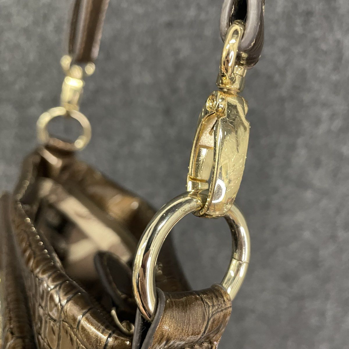 Anne Klein Brown Croc Embossed Crossbody Bag Gold Hardware Lion Logo