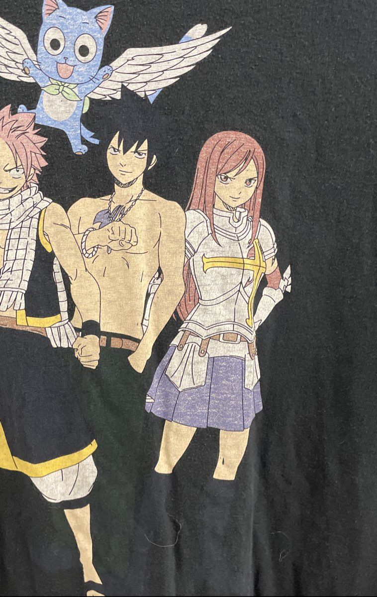 Fairy Tail Men's Black Funimation Graphic Anime Shirt Natsu Lucy Gray Erza XL