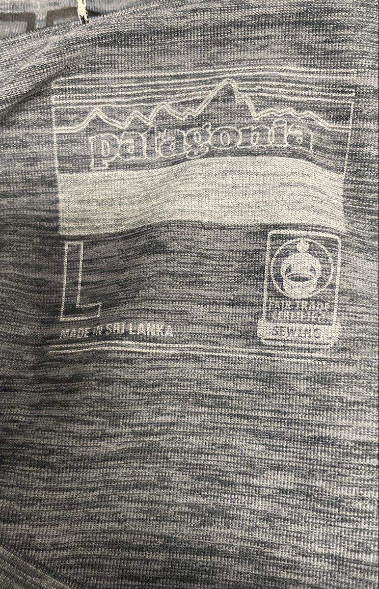 Patagonia Men's Grey Capilene Cool Daily Graphic Shirt Sz L Save Our Home Planet