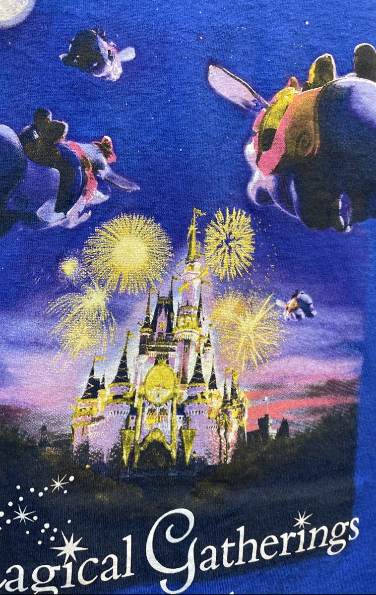 Vintage 2000s Walt Disney World Magical Gatherings Family Reunion T-Shirt XL