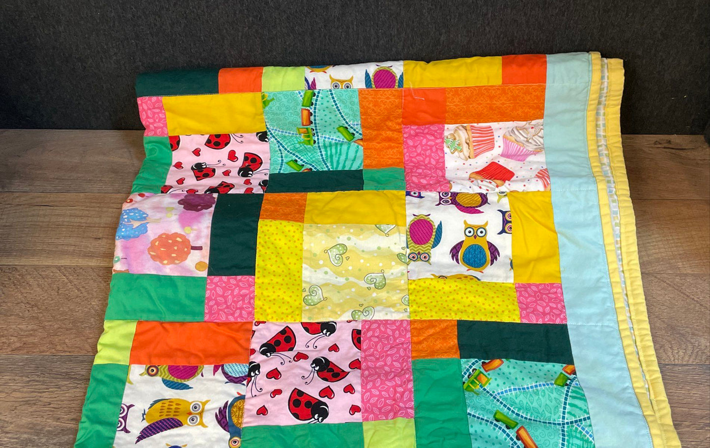 Richmond Modern Quilters Guild Handmade Baby Quilt Patchwork Owl Ladybug