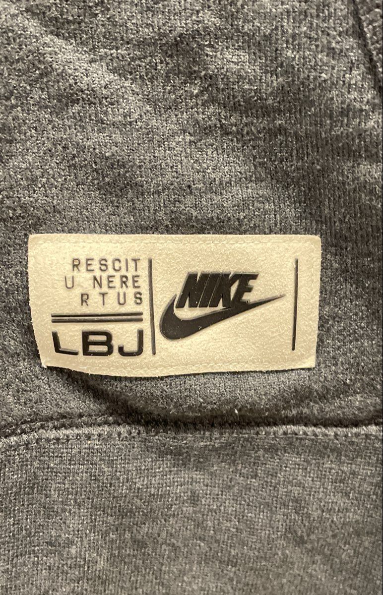 Nike Men's LeBron James LBJ Lion Pullover Hoodie Grey Blue Black Graphic Sz XL