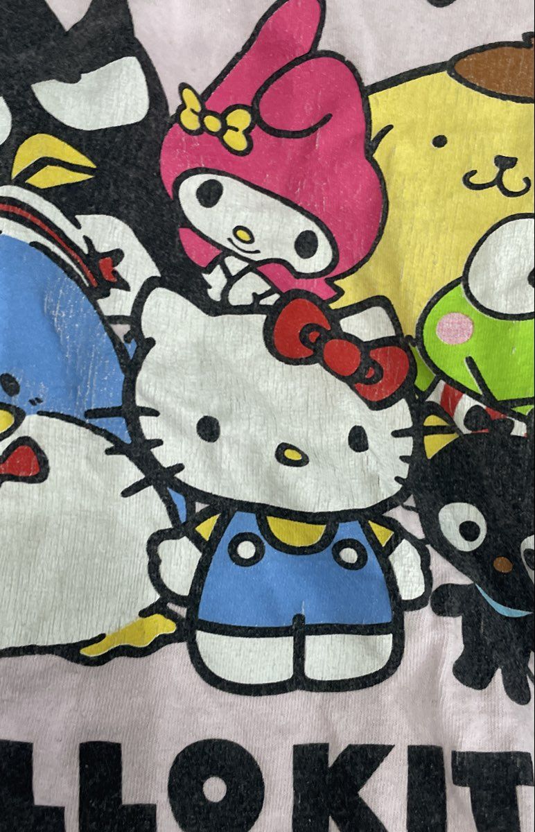 Sanrio Women's Hello Kitty and Friends Pink Character Graphic T-Shirt Sz XL