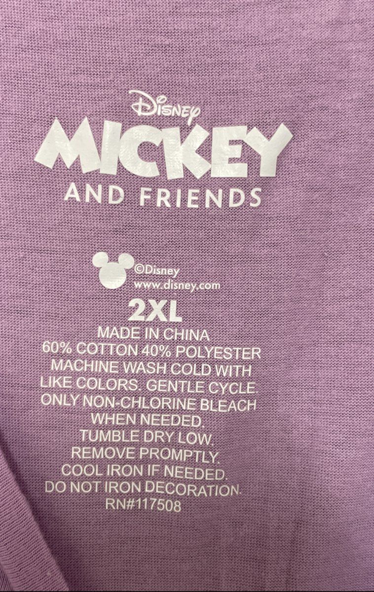 Disney Mickey & Friends Women's Lavender Graphic T-Shirt Sz 2XL