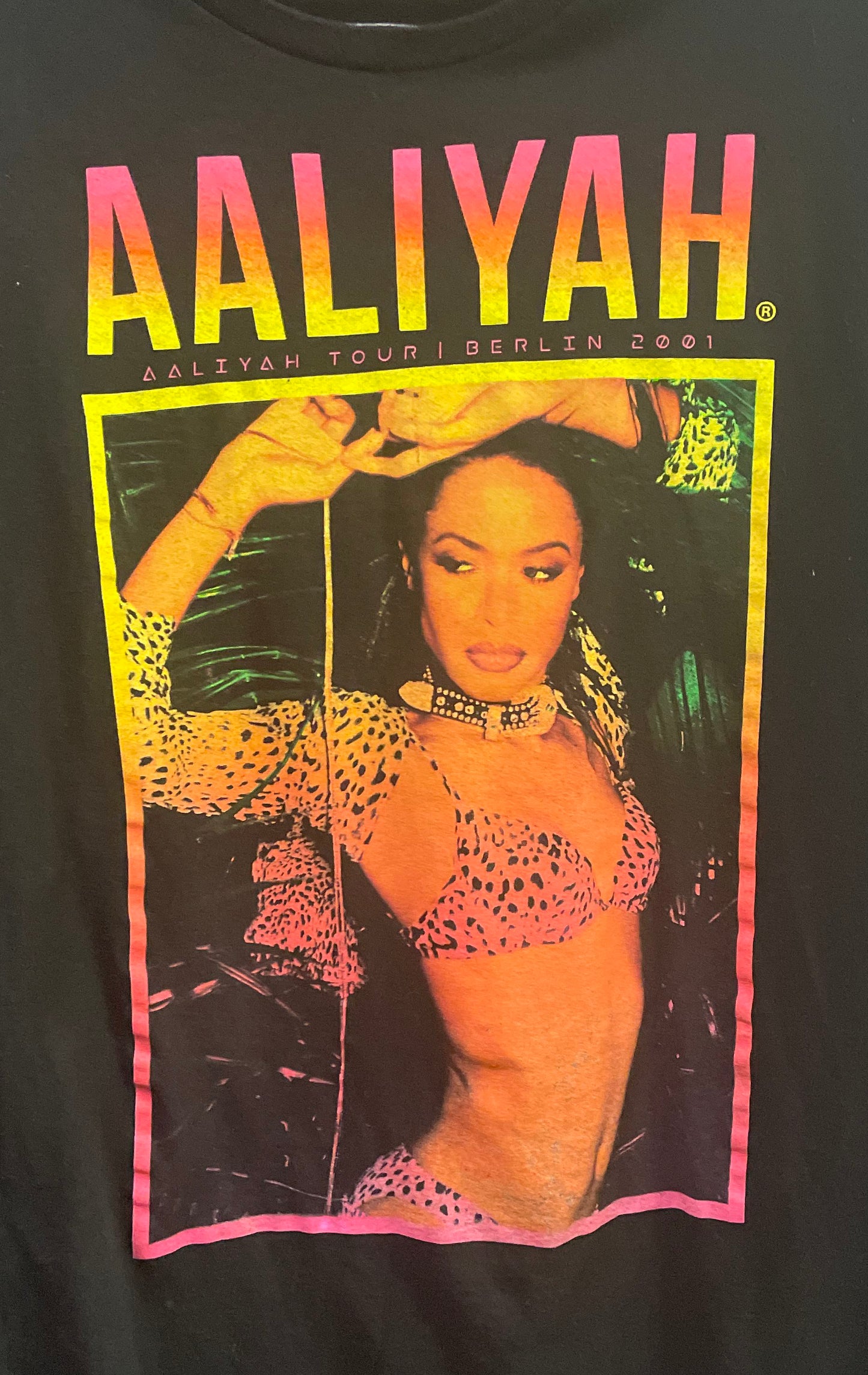 Aaliyah Berlin Tour 2001 T-Shirt Reprint Aaliyah LLC Graphic Sz L