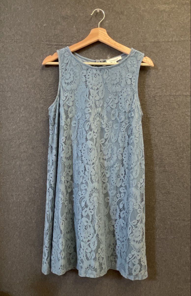 Francesca's Women's Blue Floral Lace Sleeveless A-Line Shift Dress Size M