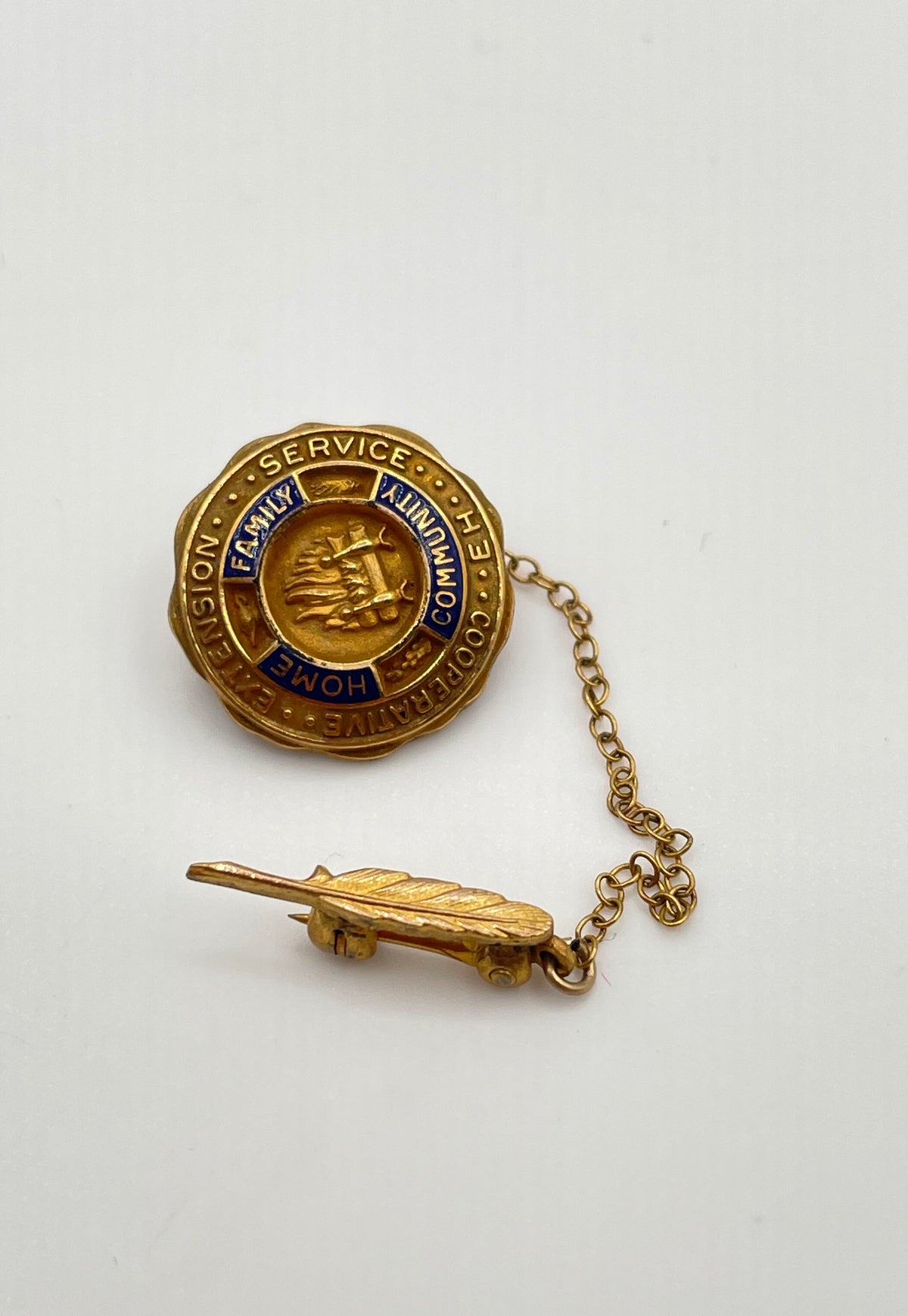Cooperative Extension Service 1/10 10k GF Blue Enamel Chain Lapel Pin 2.2g