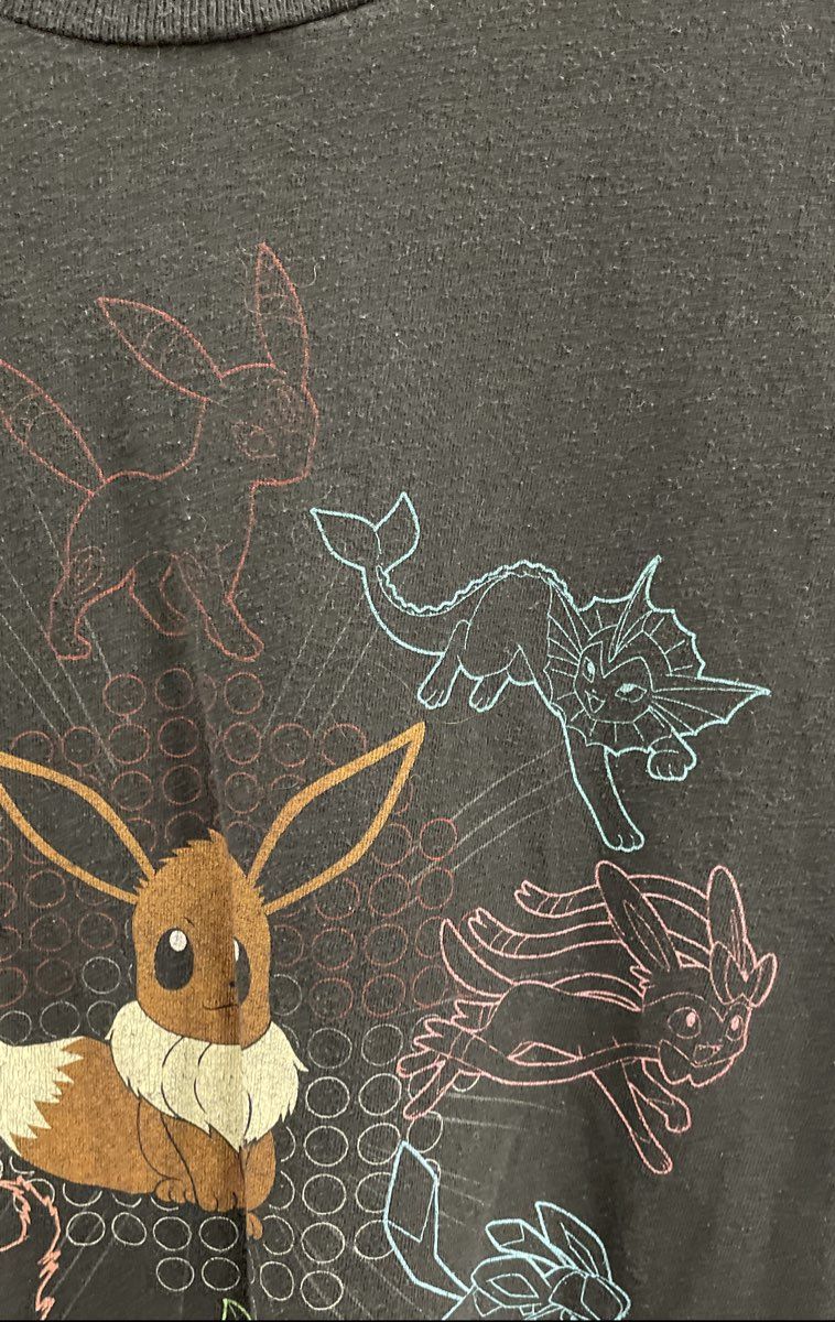We Love Fine Men's Black Pokemon Eevee Eeveelutions Graphic T-Shirt Size L