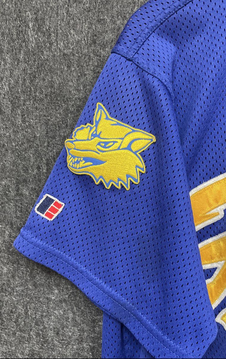 Uniforms Express Mens Blue King George Foxes Stitched Mesh Baseball Jersey #27 L