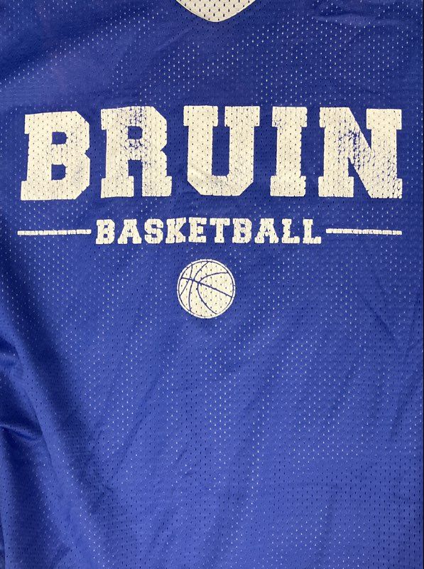 Vintage Y2K Nike Men's Bruin Basketball Jersey #10 Reversible Blue Mesh Sz L