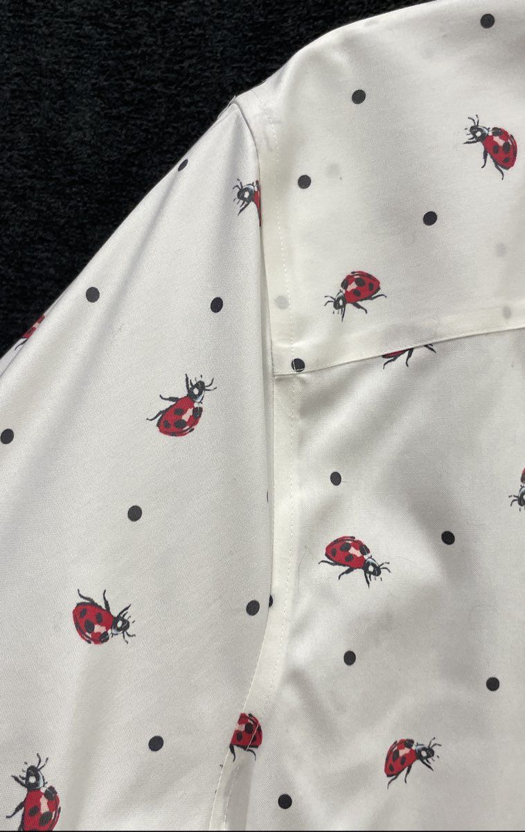Coldwater Creek Women's White Ladybug Polka Dot Cotton Button Down Shirt Sz 22W