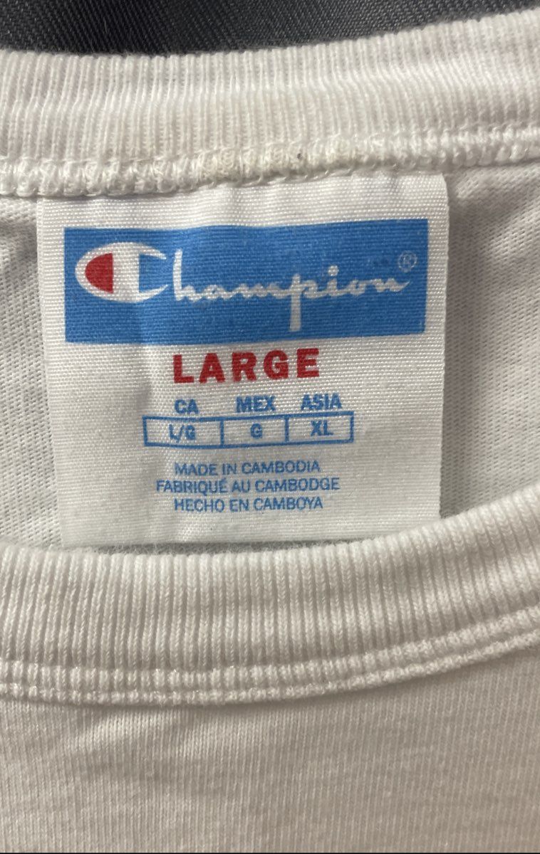 Champion Men's White Donald Duck Embroidered Model Sheet T-Shirt Sz L