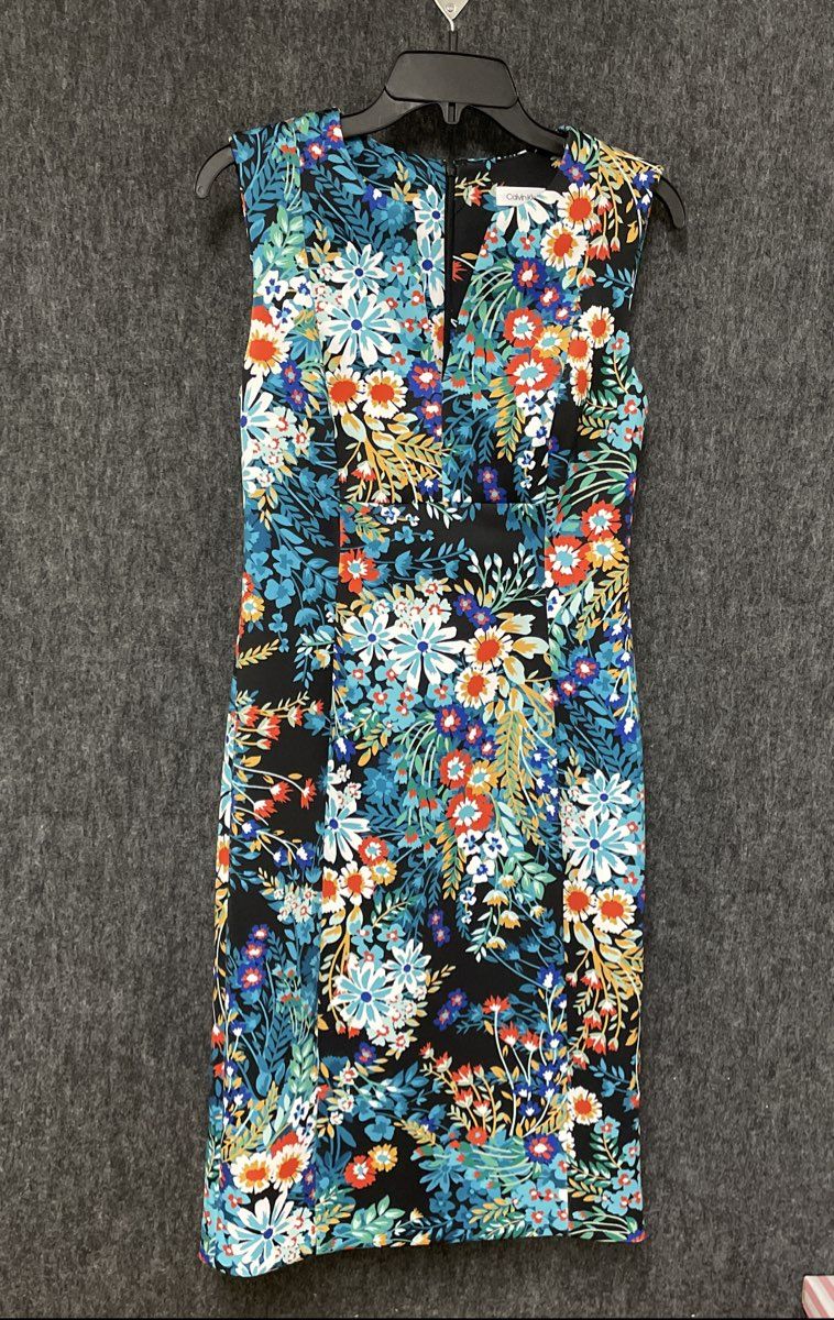 Calvin Klein Women's Floral Print Sleeveless V-Neck Sheath Dress Multicolor Sz 4