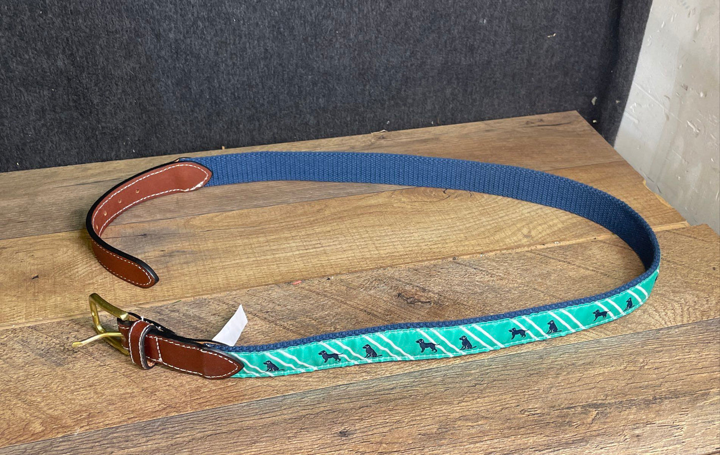 Simply Southern Men's Blue Teal Dog Ribbon Canvas Leather End Belt Sz 36 NWT
