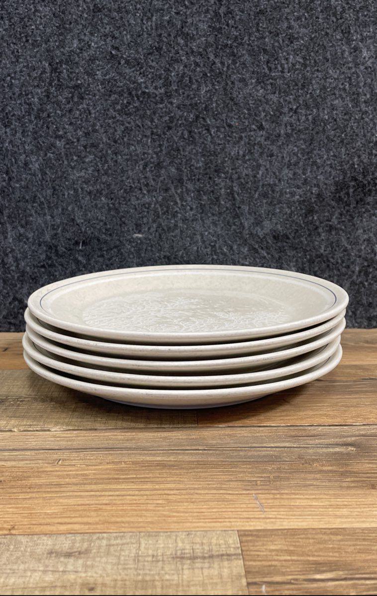 Lenox Silhouette Temperware Salad Plate Set 5 Piece Stoneware Vintage 8"