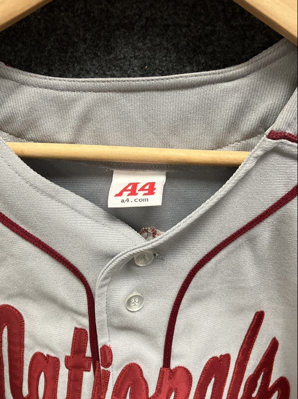 Washington Nationals #29 Scott Sporleder Baseball Jersey A4 Grey Red Sz L