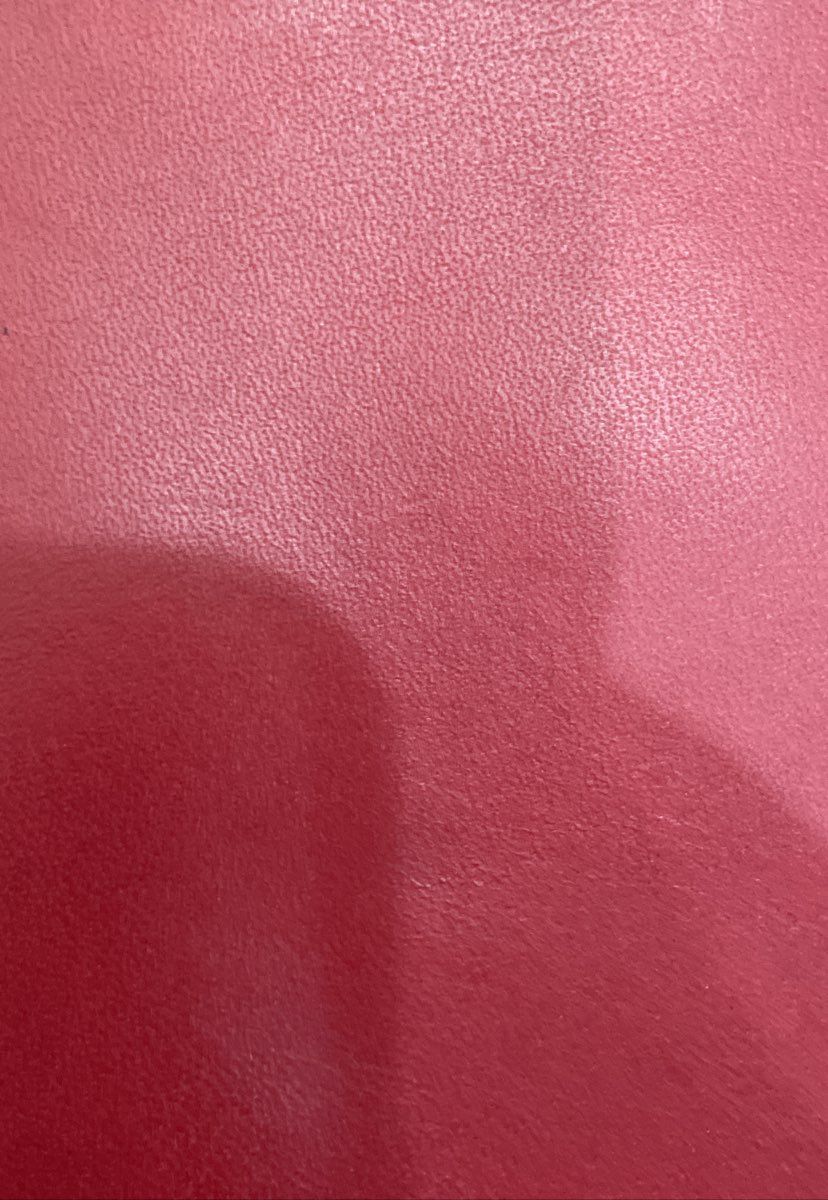J. Crew Red Leather Structured Tote Bag Brass Hardware
