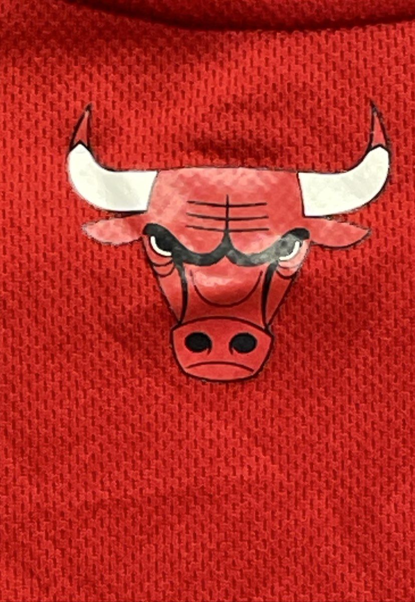 NBA Chicago Bulls Basketball Jersey Red Mesh Replica Sleeveless Fan Gear