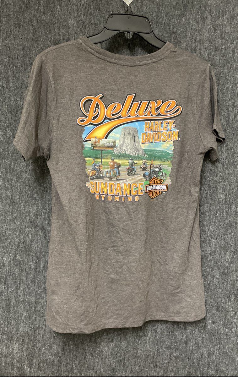 Harley-Davidson Sundance Wyoming Rainbow Logo Graphic T-Shirt Gray NWT Sz L