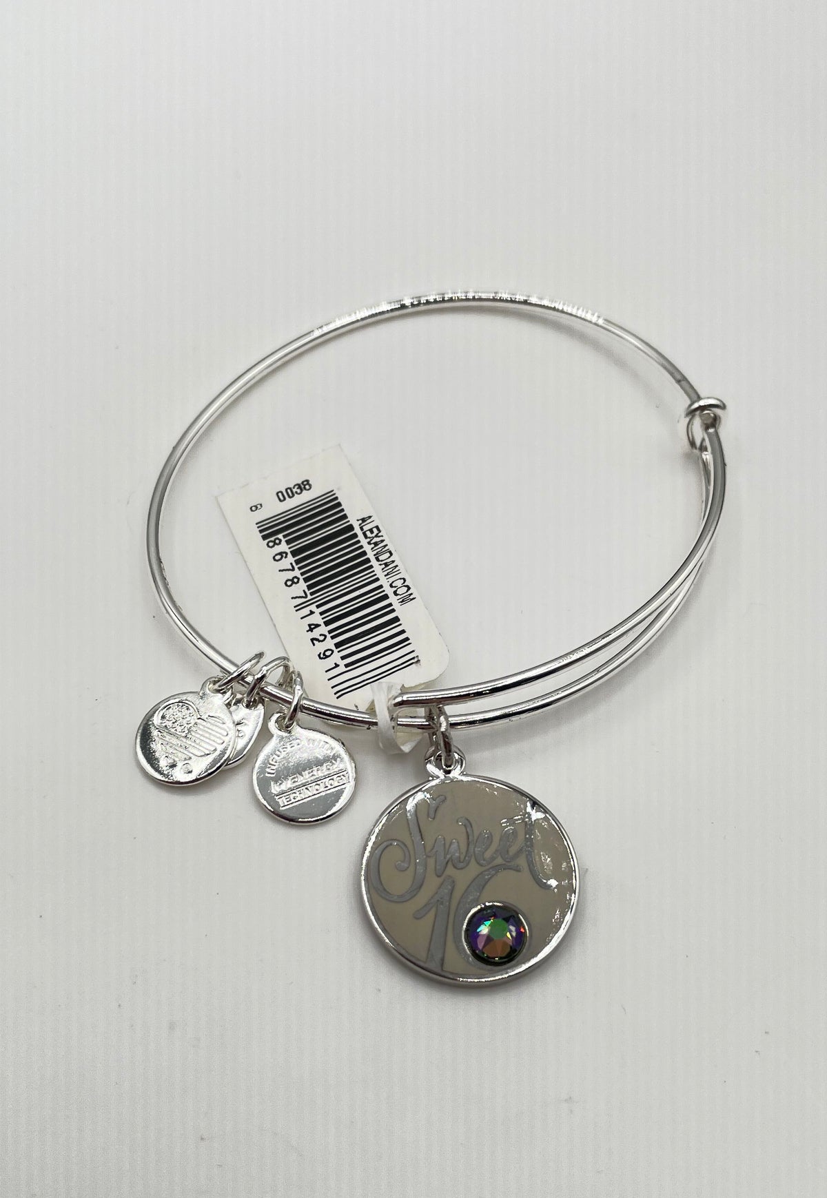 Alex And Ani Silver Tone Mixed Metal Sweet 16 Charm Bangle Bracelet In Box 11.3g