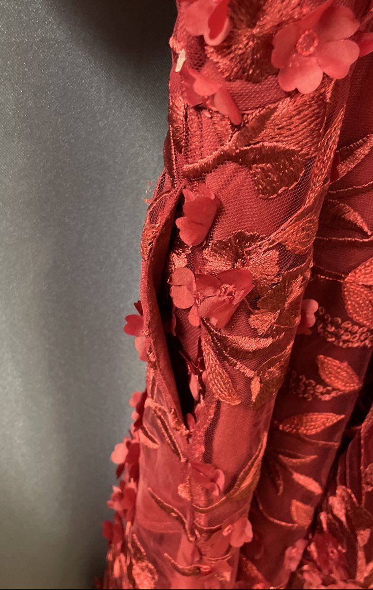 Torrid Women's Red 3D Floral Applique Mesh Puff Sleeve Party Dress Sz 18