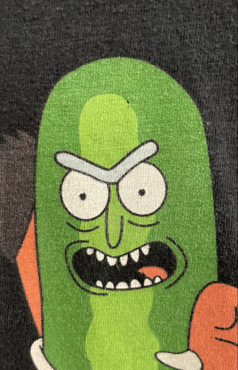 Rick and Morty Pickle Rick Graphic T-Shirt Adult Swim Ripple Junction Sz XL