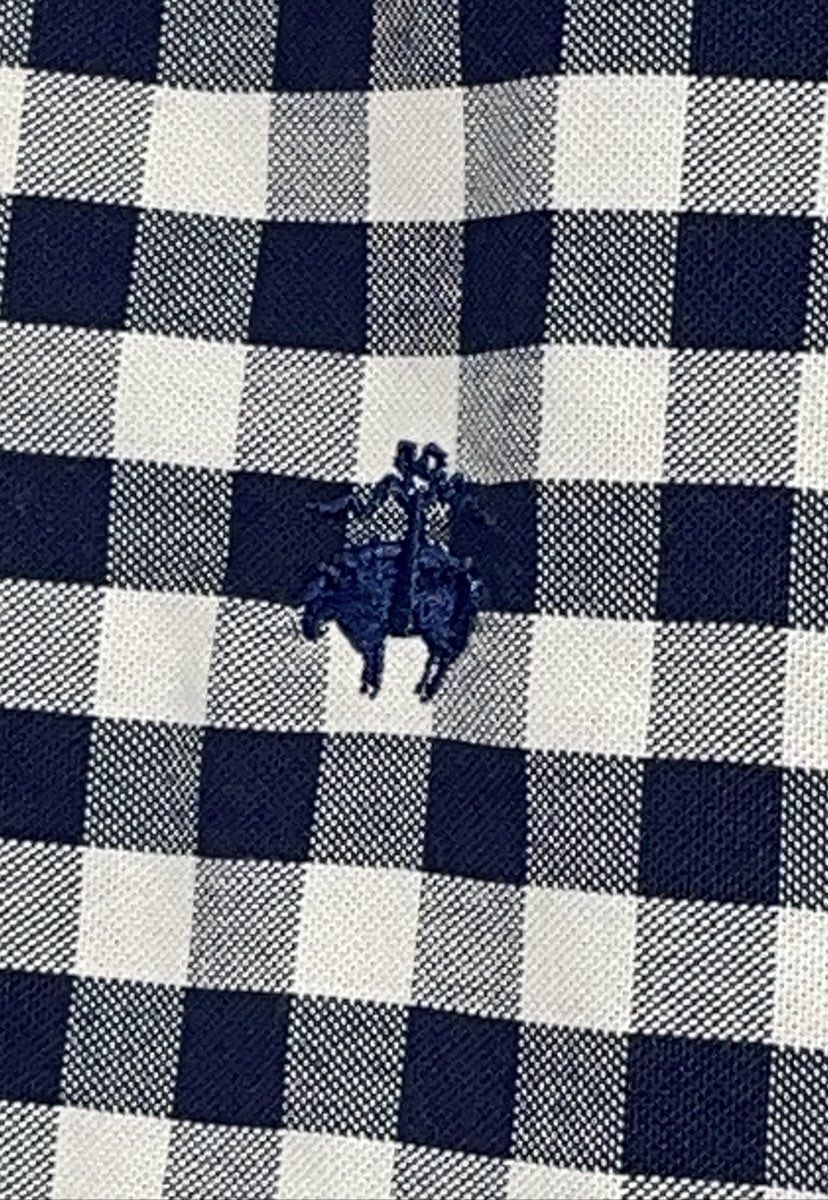 Brooks Brothers 346 Men's Multicolor Gingham Fun Shirt Non-Iron Supima Cotton S