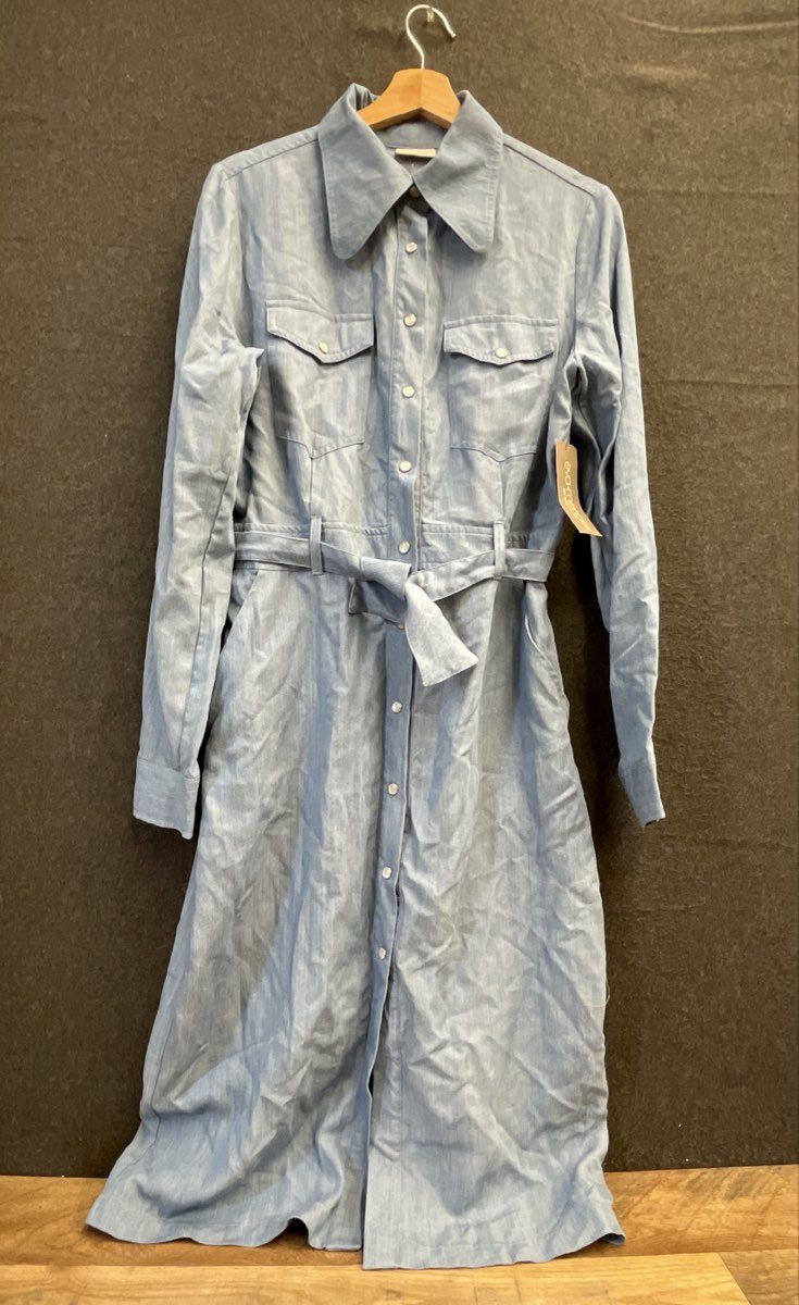 Eva Mendes New York & Company Women's Blue Chambray Belted Dress Sz 10 NWT