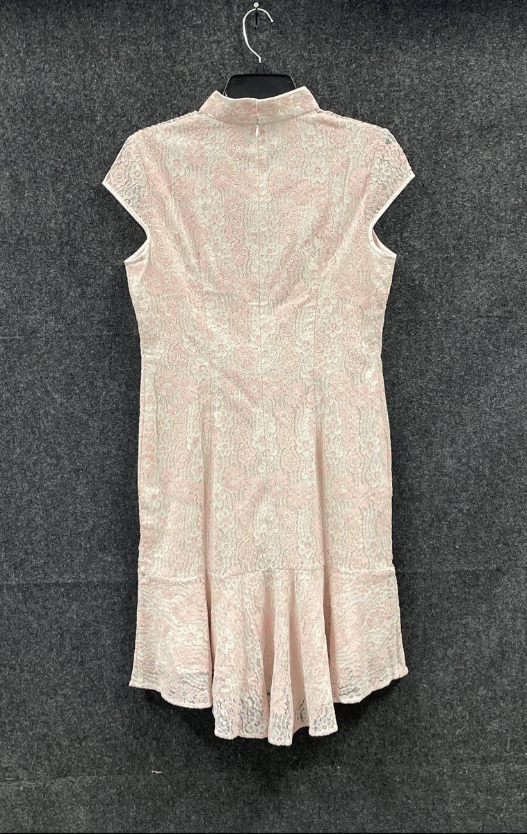 Jinxiuyuanqi Women's Pink Floral Lace Cheongsam Qipao Ruffle Dress NWT Sz 2XL