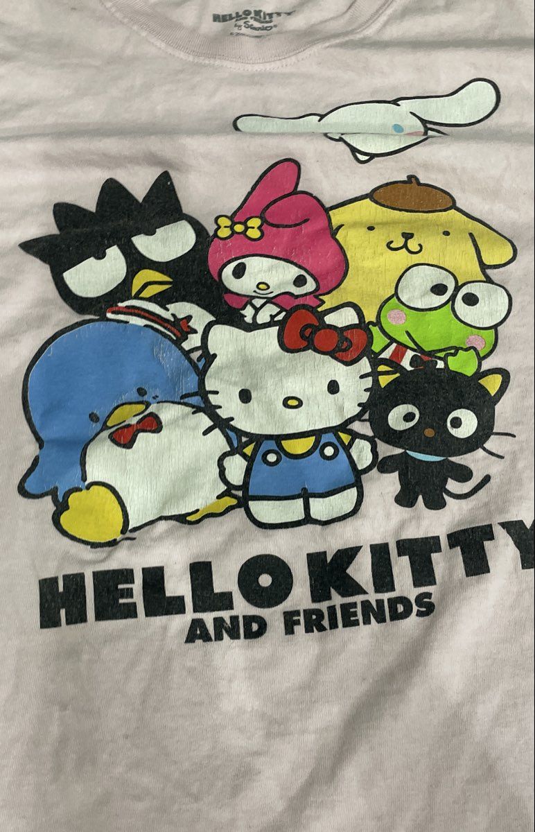 Sanrio Women's Hello Kitty and Friends Pink Character Graphic T-Shirt Sz XL