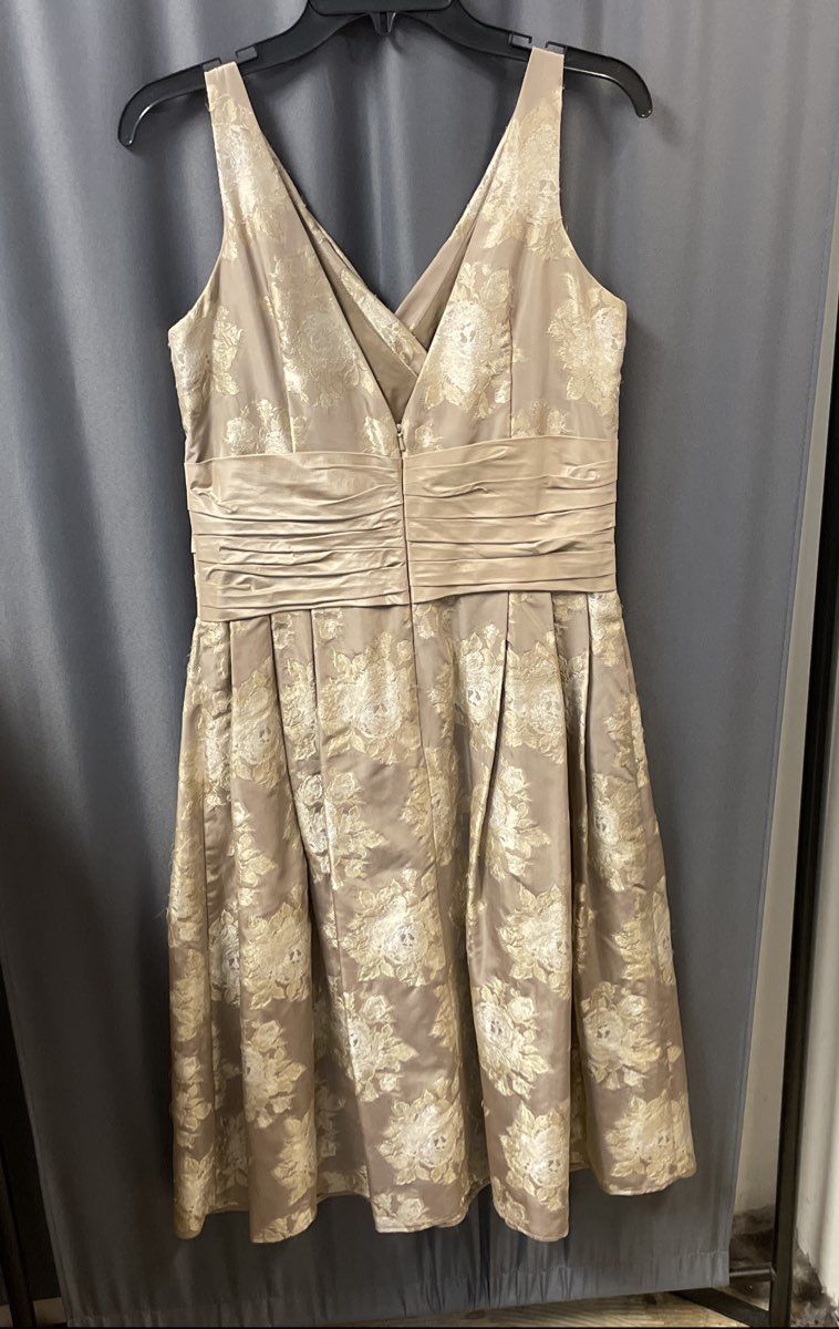 Vintage Y2K Siri Women's Beige Champagne Floral Brocade Dress Silk Trim Sz 10