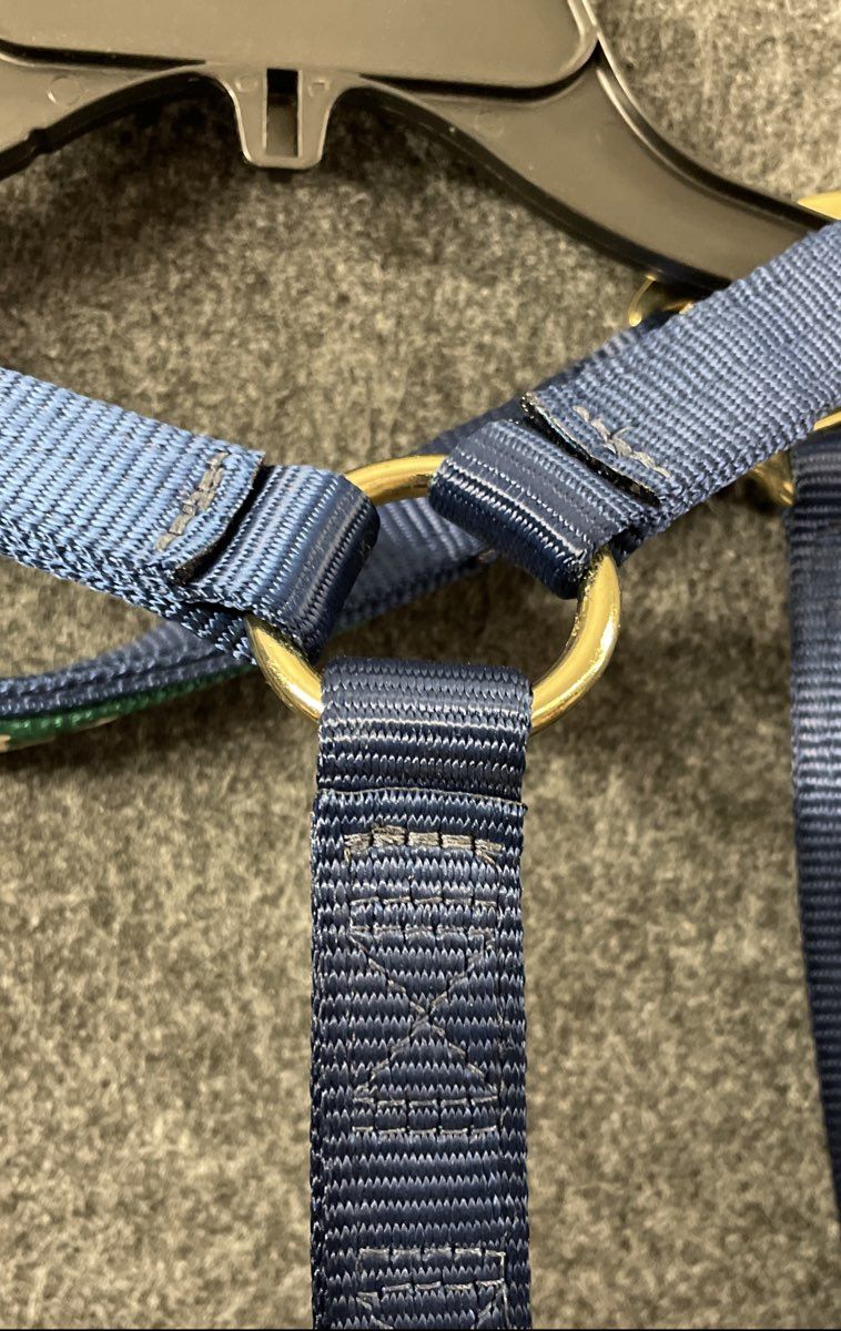 Triple E Horse Halter Blue Green Nylon Brass Hardware Personalized "ELLA"