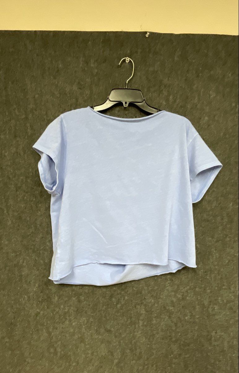 American Eagle Women's Venice Beach Graphic Cropped T-Shirt Blue NWT Sz L