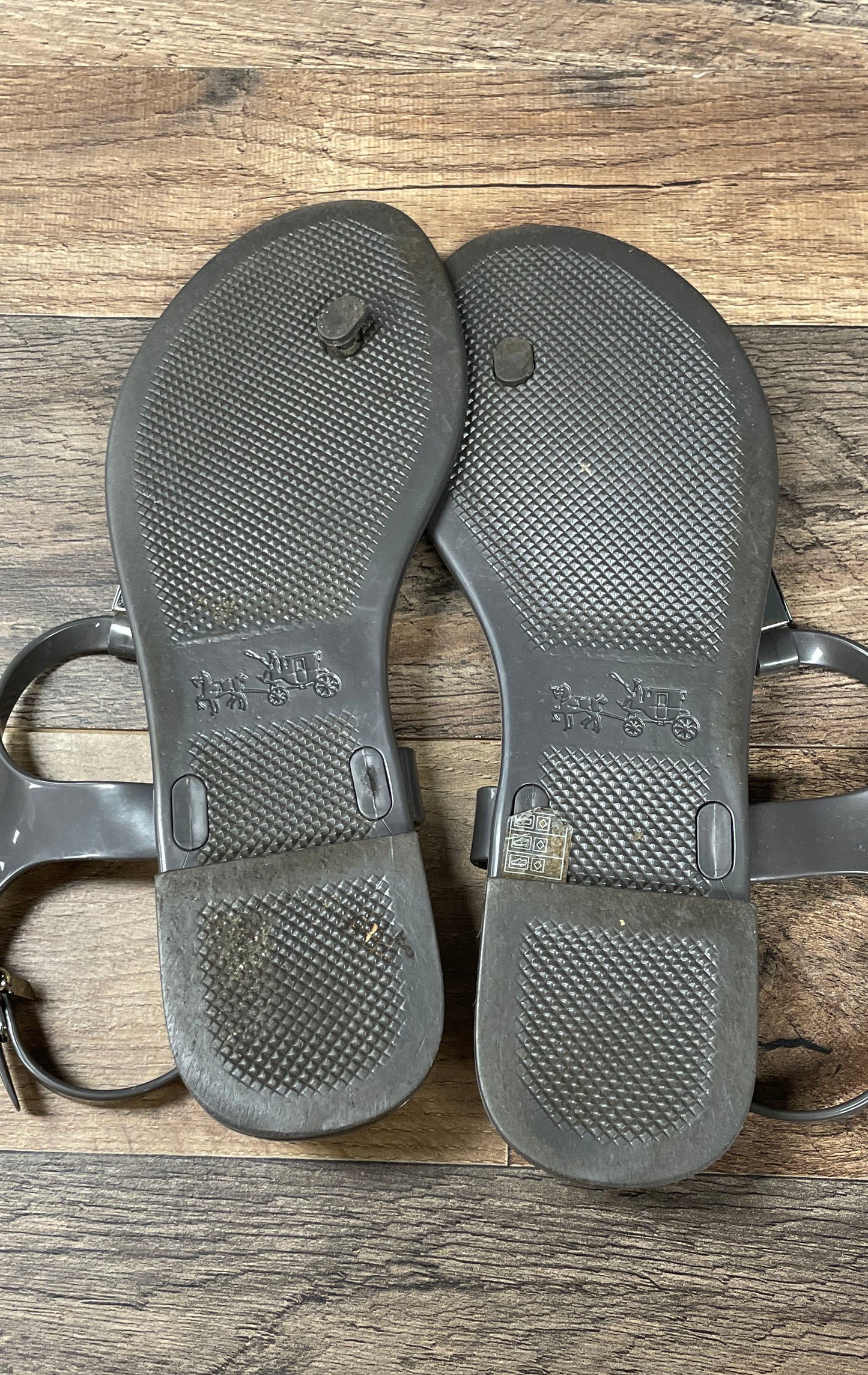 Coach Plato Grey Jelly Thong Ankle Strap Sandals Womens Size 8B A8890
