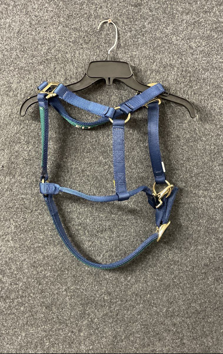 Triple E Horse Halter Blue Green Nylon Brass Hardware Personalized "ELLA"