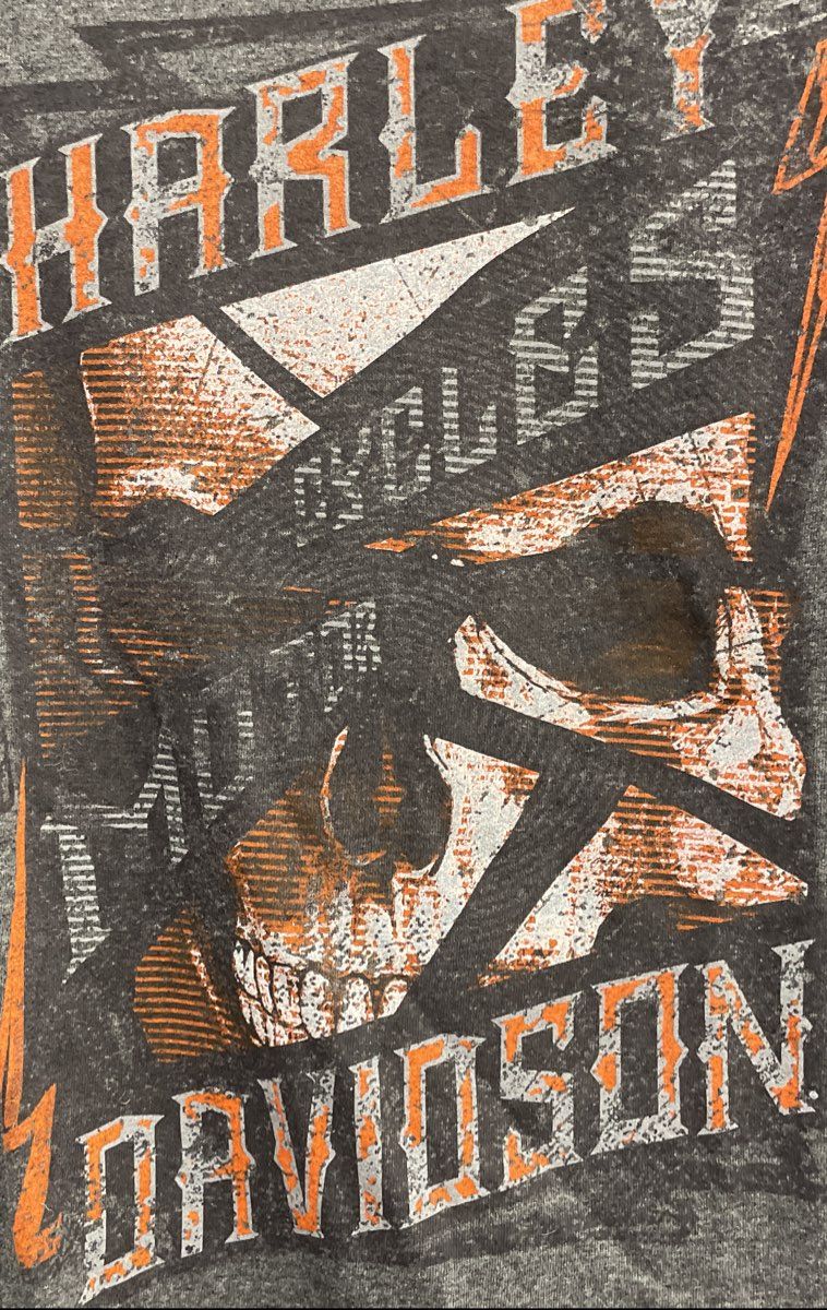 Harley-Davidson Patriot Fairfax VA Skull Graphic T-Shirt VF Imagewear Sz L