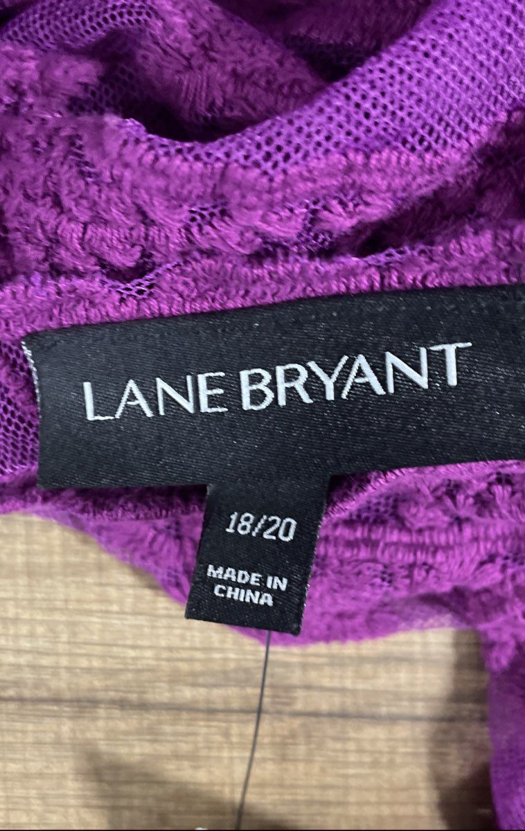 Lane Bryant Women's Purple Floral Embroidered Mesh Peplum Top NWT Sz 18/20