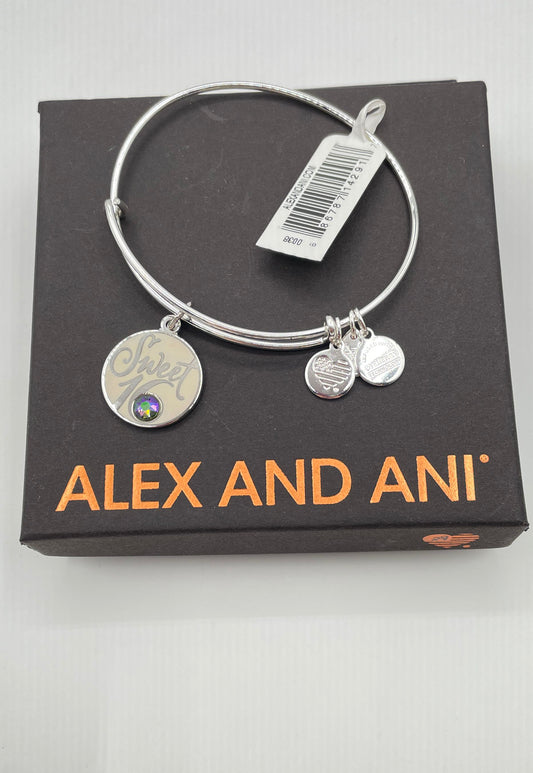 Alex And Ani Silver Tone Mixed Metal Sweet 16 Charm Bangle Bracelet In Box 11.3g