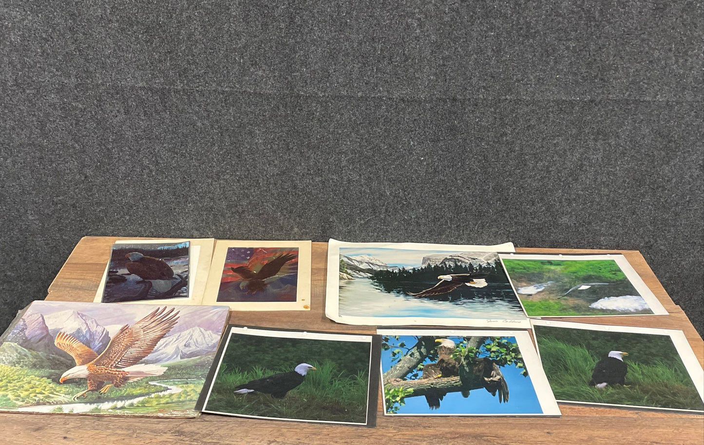 Lot of Vintage Eagle Art Prints & Photos Wildlife Signed Gene Chatlos 12x16
