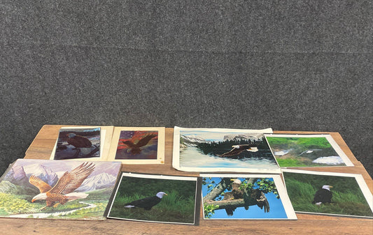 Lot of Vintage Eagle Art Prints & Photos Wildlife Signed Gene Chatlos 12x16