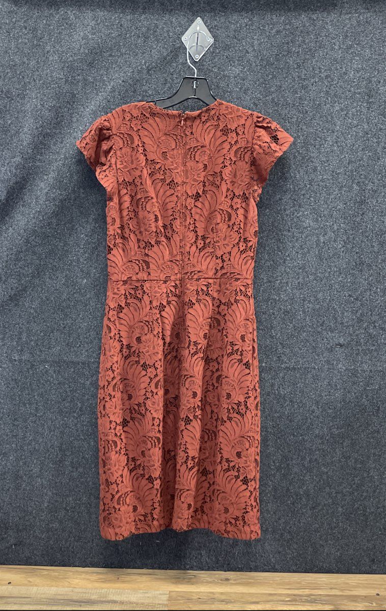 H&M Women's Rust Brown Floral Lace Sheath Dress Flutter Cap Sleeve Sz 8
